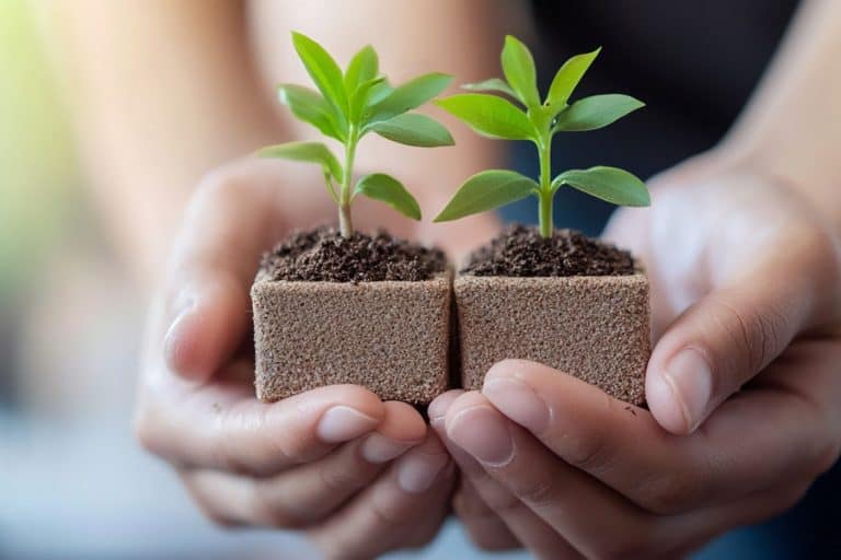 Stärkung von Ressourcen und Selbstwirksamkeit bei Familien, Kindern und Jugendlichen